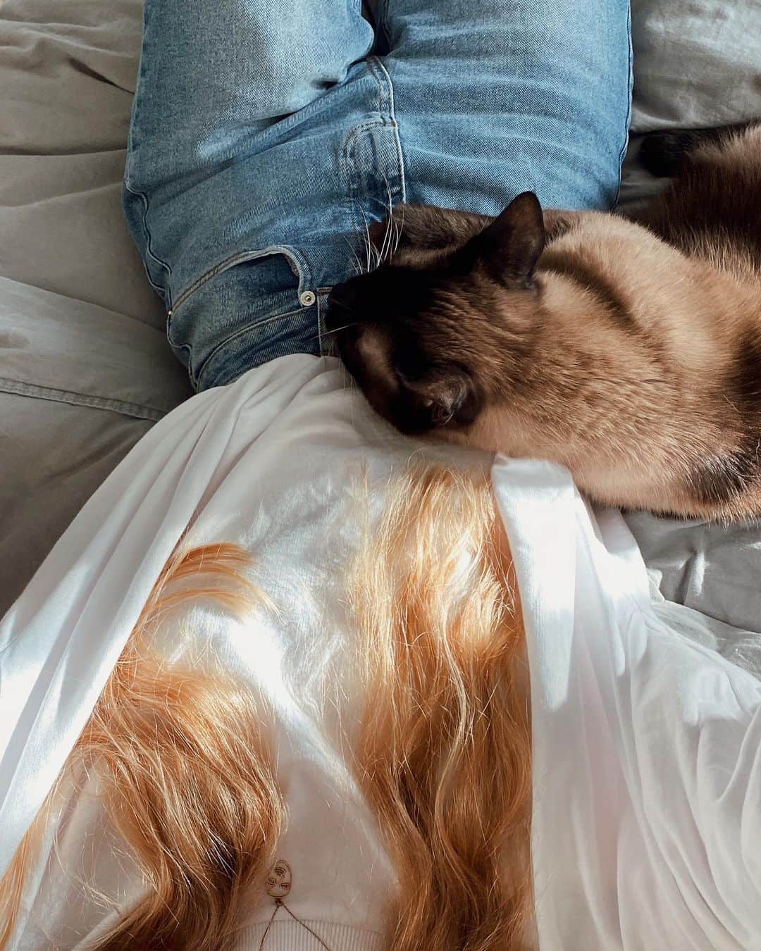 Annette Pehrssonのインスタグラム：「golden hour cuddles 💛」