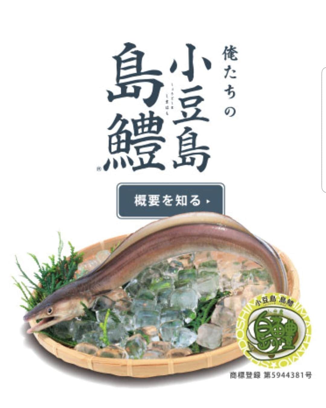 谷口キヨコさんのインスタグラム写真 - (谷口キヨコInstagram)「島鱧でーす‼️小豆島四海漁協のホームページをご覧くださいね。もちろんそこから買えますよ。#ハモプロ」7月17日 0時27分 - kiyokotaniguchi
