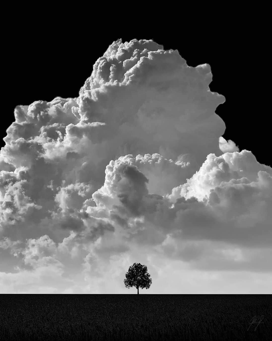 Canon Photographyさんのインスタグラム写真 - (Canon PhotographyInstagram)「Magical clouds created in photoshop! Edit ~ @kathrinfederer.ch  Curated by @ianharper   • • • • • #minimalistic #weather #tree #cloud #minimalove #trees #cloudy #minimalismo #cloudporn #minimalista #horizon #skylovers #minimalobsession #instacloud #skies #instaclouds #cloud_skye #minimalistics #minimalist #minimalhunter #crazyclouds #lessismore #minimalplanet」7月17日 2時18分 - cpcollectives