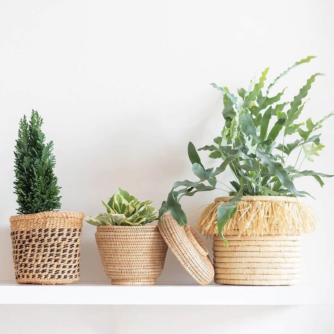 The Little Marketさんのインスタグラム写真 - (The Little MarketInstagram)「Checkered, rattan, or fringed? Tell us which basket is your favorite in the comments below!」7月17日 2時46分 - thelittlemarket