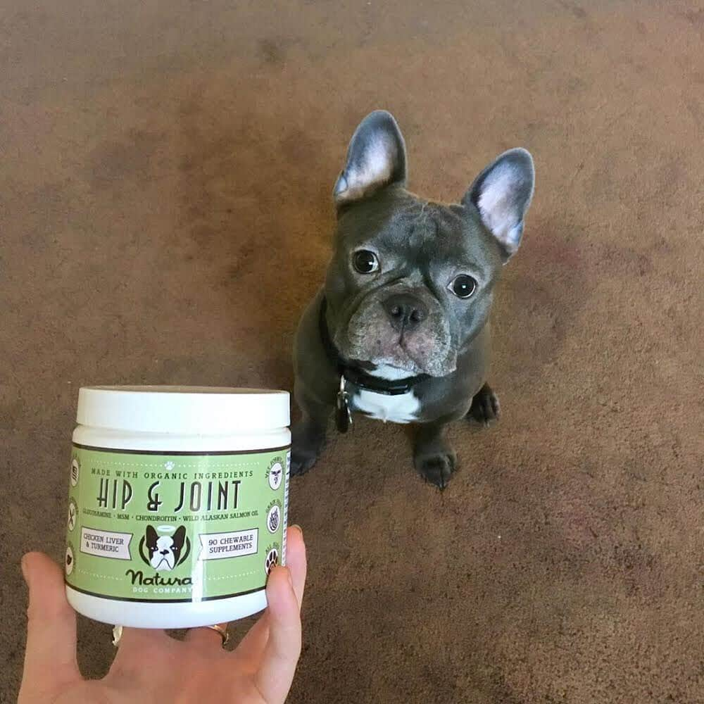 Regeneratti&Oliveira Kennelさんのインスタグラム写真 - (Regeneratti&Oliveira KennelInstagram)「Getting old is ruff. Help your dog age with grace and ease by giving them Hip & Joint supplements. Great as a preventative for young pups, or as an aid for older dogs to help treat & support existing issues. Your dog won’t mind taking them either – they think they’re treats! . ⭐ SAVE 20% off @naturaldogcompany with code JMARCOZ at NaturalDog.com  worldwide shipping  ad 📷: @bluefacestitch  . . . . . . . #frenchbully #frenchielove #dogsandpals #frenchbulldogs #weeklyfluff #french_bulldogs #dogsofinstagram #dogsofinsta #puppiesofinstagram #puppylove #instadog #frenchie #frenchiesofinstagram #frenchielove #love #dailybarker #squishyfacecrew #frenchieoftheday #dogoftheday #lovemydog #frenchiegram #cutenessoverload #dog_features #frenchieringer #mydogiscutest #instapuppy #frenchielife」7月17日 4時44分 - jmarcoz