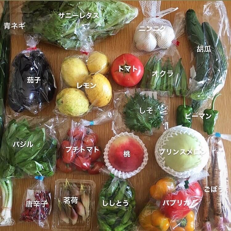 ecruのインスタグラム：「2020/07/17 (fri) 昨日は、久しぶりに朝からJAの直売所に行けたので、夏野菜や果物など買ってきました。 先週にはなかった、桃やプリンスメロン、スイカも並んでいました。 見て癒され、香りで癒され、新鮮なうちにとお料理のモチベーションも上がります。 ・ 帰ってきてすぐの晩ご飯は、冷しゃぶに。 買ったばかりの夏野菜や香味野菜をたっぷり乗せていただきました。 あとは、炊き込みご飯とだし巻き卵、具沢山のお味噌汁。 野菜たっぷりのご飯は、家族にとても喜ばれます。 また来週もたくさん買えたらいいな。 ・ #JA #直売所 #JA直売所 #産直 #野菜 #果物 #幸せ #happy」