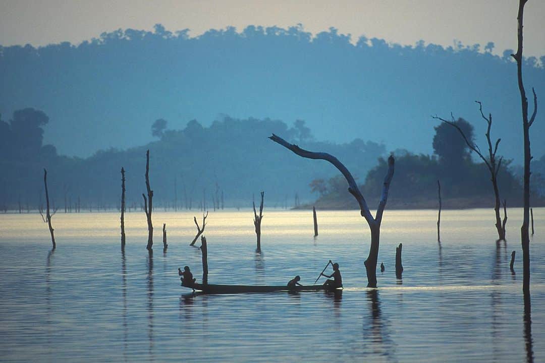 Michael Yamashitaさんのインスタグラム写真 - (Michael YamashitaInstagram)「A former teak forest is reduced to skeletal branches piercing the surface of Nam Ngum Lake. The lake was formed by Laos's first dam built on a Mekong River tributary. Underwater loggers harvest the valuable wood, most of it bound for sawmills in Thailand. Now the question is: will the mighty Mekong be the first of the planet’s great rivers to be destroyed by development?  Dramatic changes to the Mekong’s water flow, caused by climate change and the dozens of dams built over the past 30 years on its upstream reaches in Laos and China, are threatening an ecosystem of unrivalled diversity outside the Amazon. Most are in China, but Beijing denies the dams are impacting down-stream water levels.  As this year's monsoon season gets underway across Indochina, farmers and fishermen along the Mekong are praying for relief from the area's extended drought as the river has seen its lowest levels since record-keeping began 60 years ago. #mekongriver #mekong #namngun #namngumlake #teak #climatechangeart」7月17日 7時33分 - yamashitaphoto
