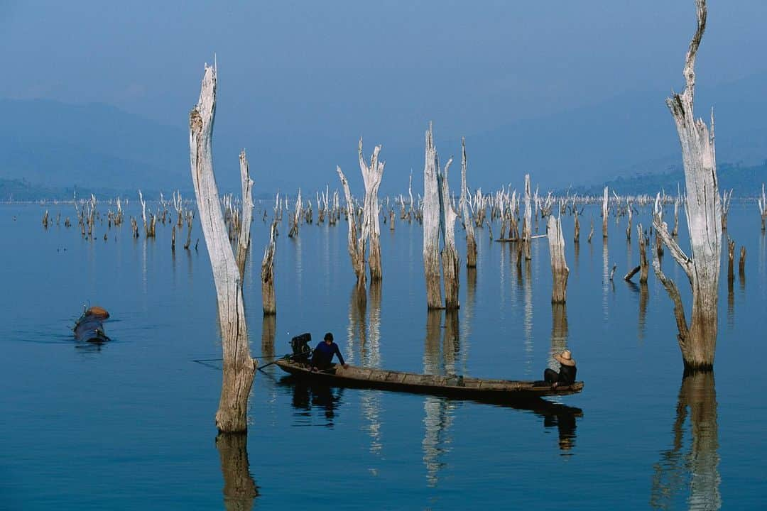 Michael Yamashitaさんのインスタグラム写真 - (Michael YamashitaInstagram)「A former teak forest is reduced to skeletal branches piercing the surface of Nam Ngum Lake. The lake was formed by Laos's first dam built on a Mekong River tributary. Underwater loggers harvest the valuable wood, most of it bound for sawmills in Thailand. Now the question is: will the mighty Mekong be the first of the planet’s great rivers to be destroyed by development?  Dramatic changes to the Mekong’s water flow, caused by climate change and the dozens of dams built over the past 30 years on its upstream reaches in Laos and China, are threatening an ecosystem of unrivalled diversity outside the Amazon. Most are in China, but Beijing denies the dams are impacting down-stream water levels.  As this year's monsoon season gets underway across Indochina, farmers and fishermen along the Mekong are praying for relief from the area's extended drought as the river has seen its lowest levels since record-keeping began 60 years ago. #mekongriver #mekong #namngun #namngumlake #teak #climatechangeart」7月17日 7時33分 - yamashitaphoto