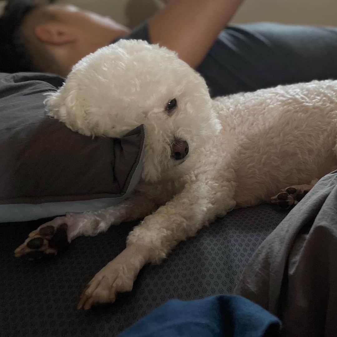 パク・シウンのインスタグラム：「굿모닝~🐶💕」