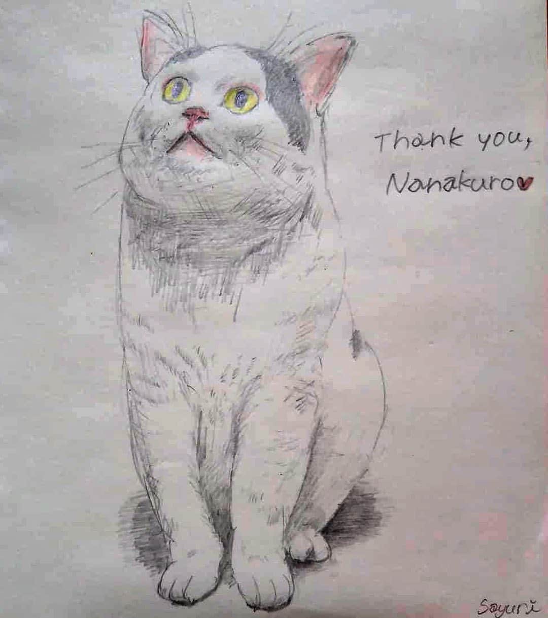 Kachimo Yoshimatsuさんのインスタグラム写真 - (Kachimo YoshimatsuInstagram)「@sayuri_skymark さんが描いてくれました。ありがとうございます。 #うちの猫ら #nanakuro #ナナクロの絵 #ナナクロ #猫 #ねこ #cat #ネコ #catstagram #ネコ部 http://kachimo.exblog.jp」7月17日 8時35分 - kachimo