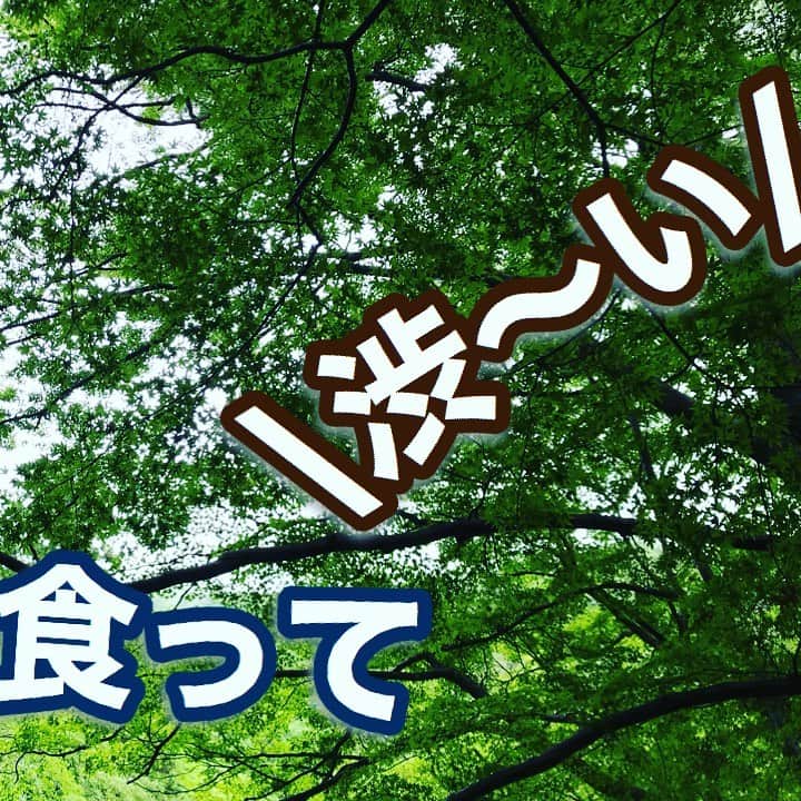 中野耕史さんのインスタグラム写真 - (中野耕史Instagram)「‪今日も燕は低く飛んでいる？‬  ‪1分30秒の朝のリフレッシュ♪‬  ‪YouTube新作UPしました🎥‬  ‪心を伝える日本語　#5 土食って虫食って渋〜い https://youtu.be/4XxYOJ9I7Gs @YouTubeより‬」7月17日 8時45分 - nakanocozy