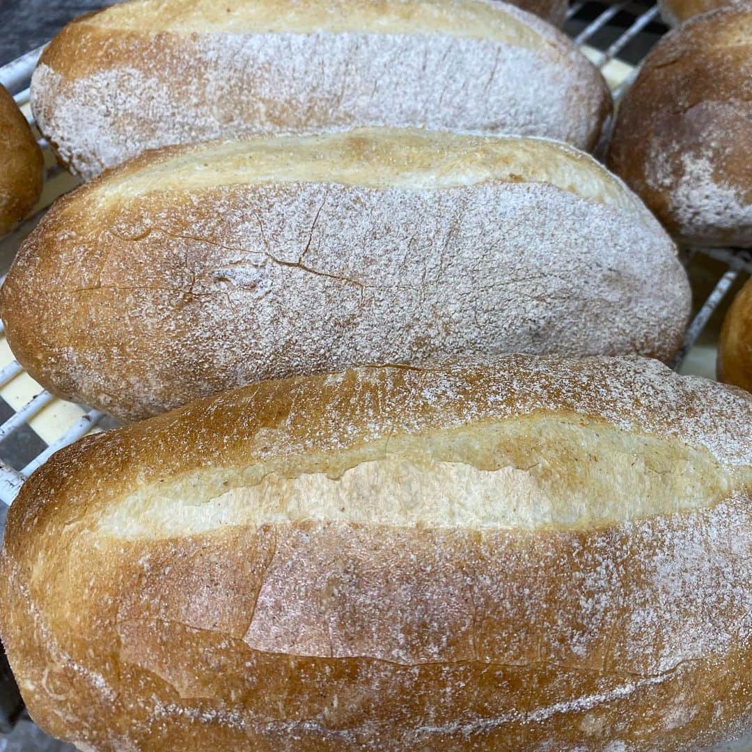 魔女菅原のグルメインスタ