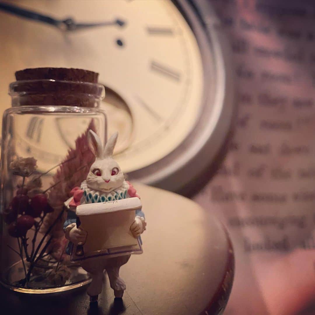 アリスのファンタジーレストランのグルメインスタ