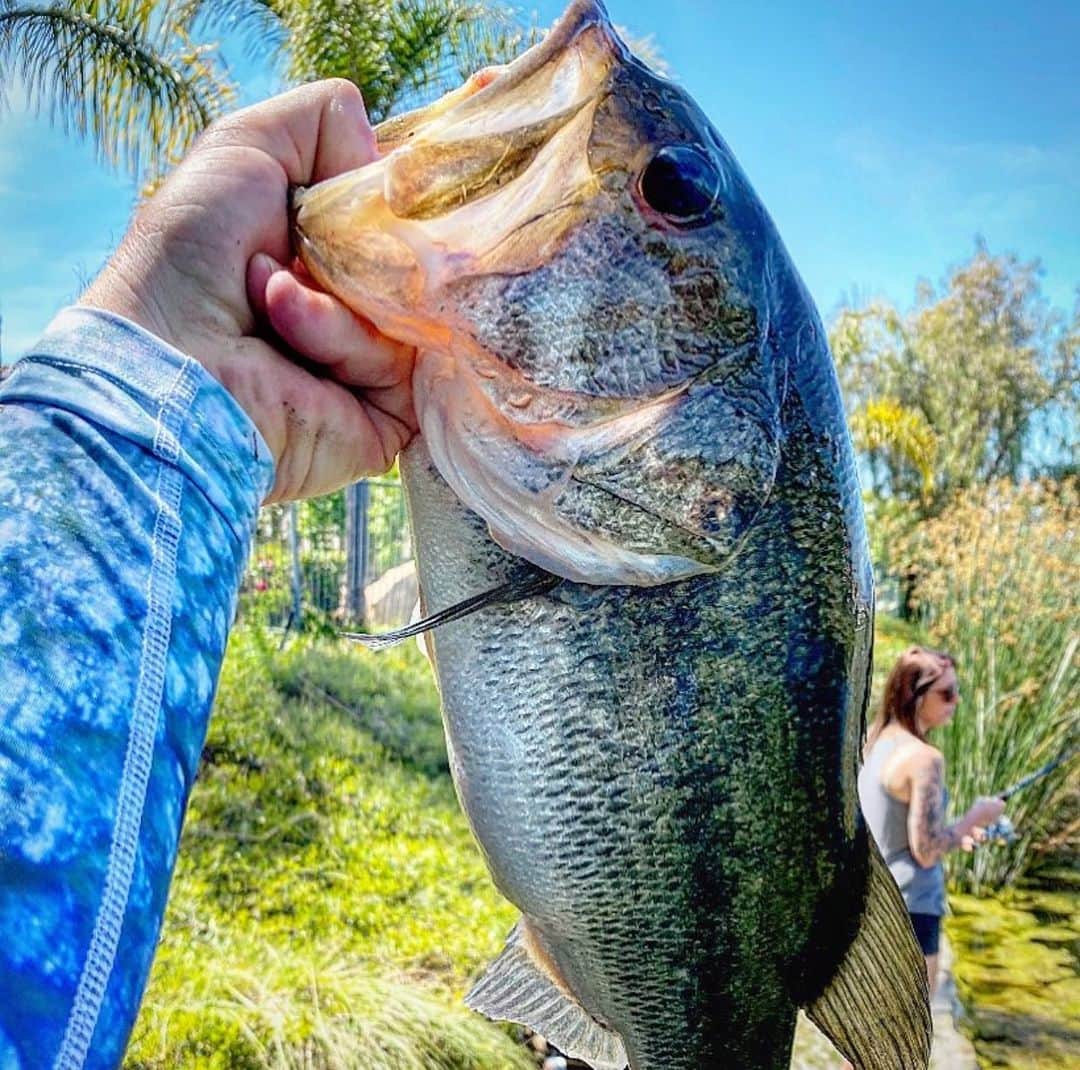 Filthy Anglers™さんのインスタグラム写真 - (Filthy Anglers™Instagram)「Our buddy @socal.bass.angler showing off a nice little toad while wearing our Filthy UPF long sleeve. The perfect combo for staying safe from the sun and catching big bass! Congrats on the catch bud you are Certified Filthy www.filthyanglers.com #fishing #upf #bass #bassfishing #outdoors #sunprotection #filthyanglers #getfilthy #kayak #nature #getoutside」7月17日 10時23分 - filthyanglers