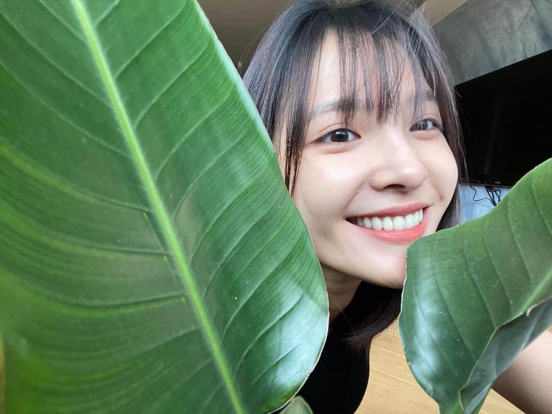 吳子霏（Ellen Wu）のインスタグラム：「🌲💚」