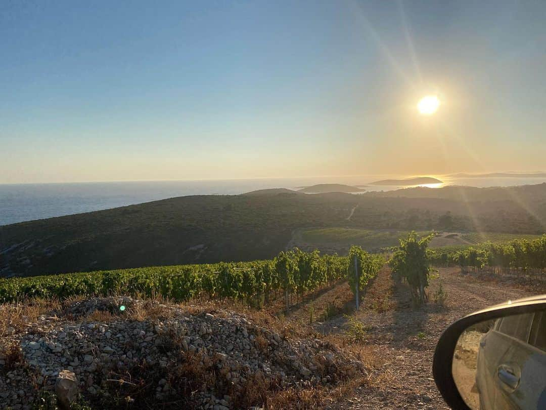 アンドレイ・クラマリッチさんのインスタグラム写真 - (アンドレイ・クラマリッチInstagram)「Beautiful place 😍🙌🏻🇭🇷 Winery Kalebic 🍷👌🏻」7月18日 0時06分 - andrejkramaric