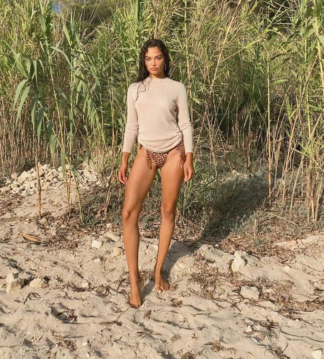シャニーナ・シャイクのインスタグラム：「🌾🐾」