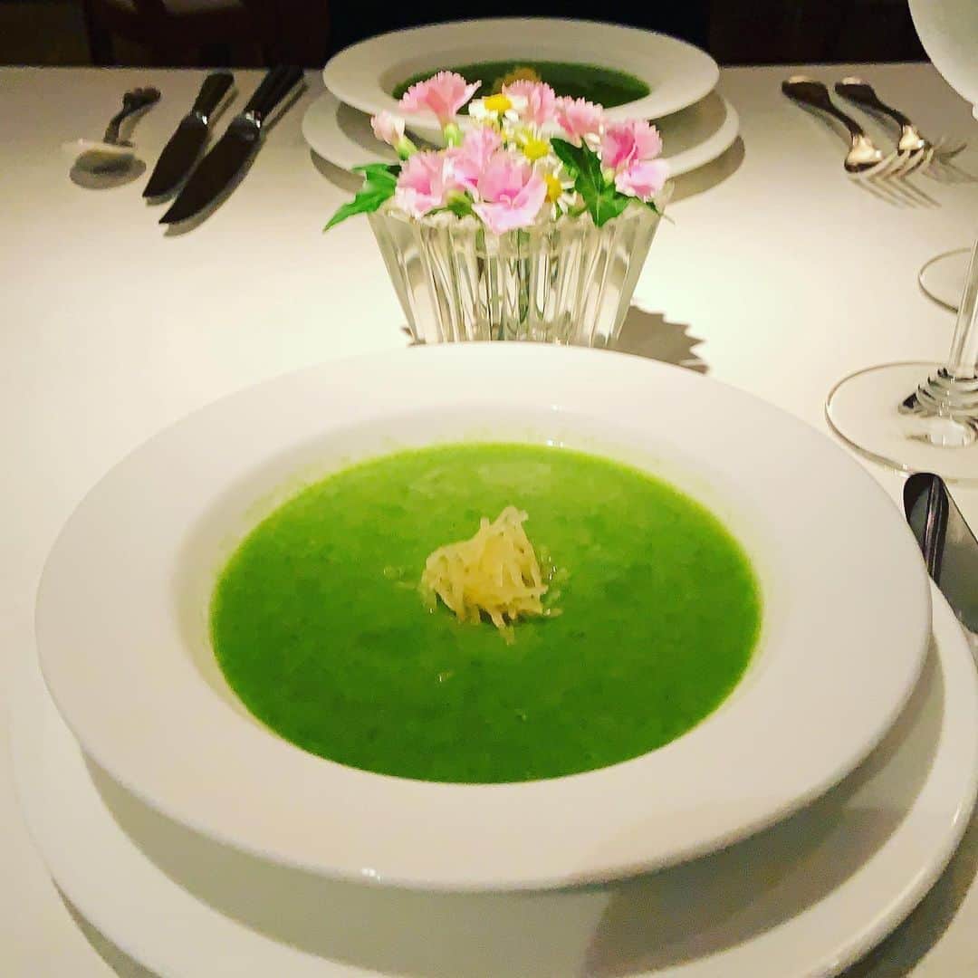 志摩有子さんのインスタグラム写真 - (志摩有子Instagram)「コートドールの夏の風物詩、青紫蘇の冷製スープを2年ぶりに。爽やかな青紫蘇を梅干しの酸味がすっきりと引き立てる食べる点滴。メンタルやられていた私に癒しでしかなかった。  #青紫蘇のスープ #食べる点滴 #夏の風物詩」7月17日 16時45分 - ariko418