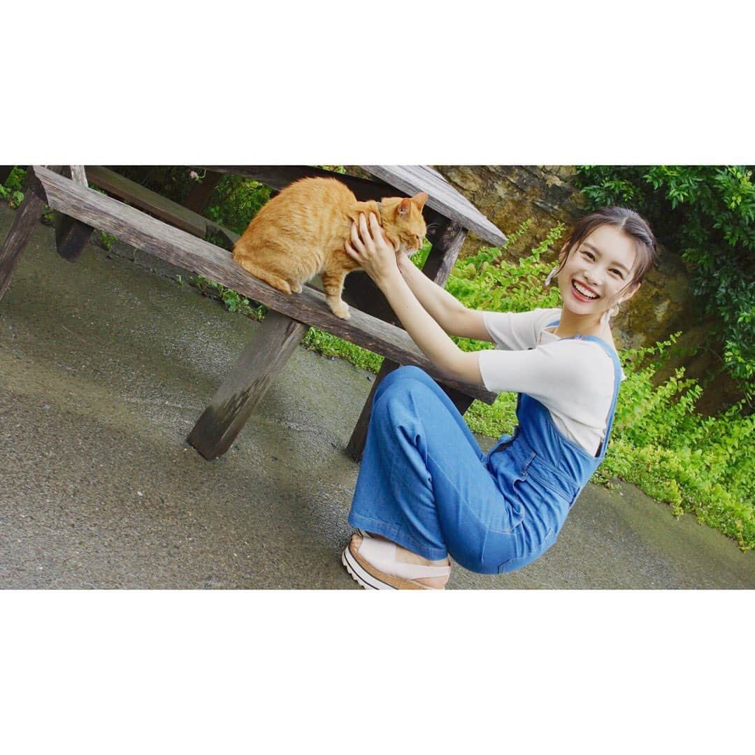 林穂乃花さんのインスタグラム写真 - (林穂乃花Instagram)「. ねこ🐈 . . #ドゥリムトン村の猫 #ドゥリムトン村」7月17日 17時04分 - honoka_hayashi