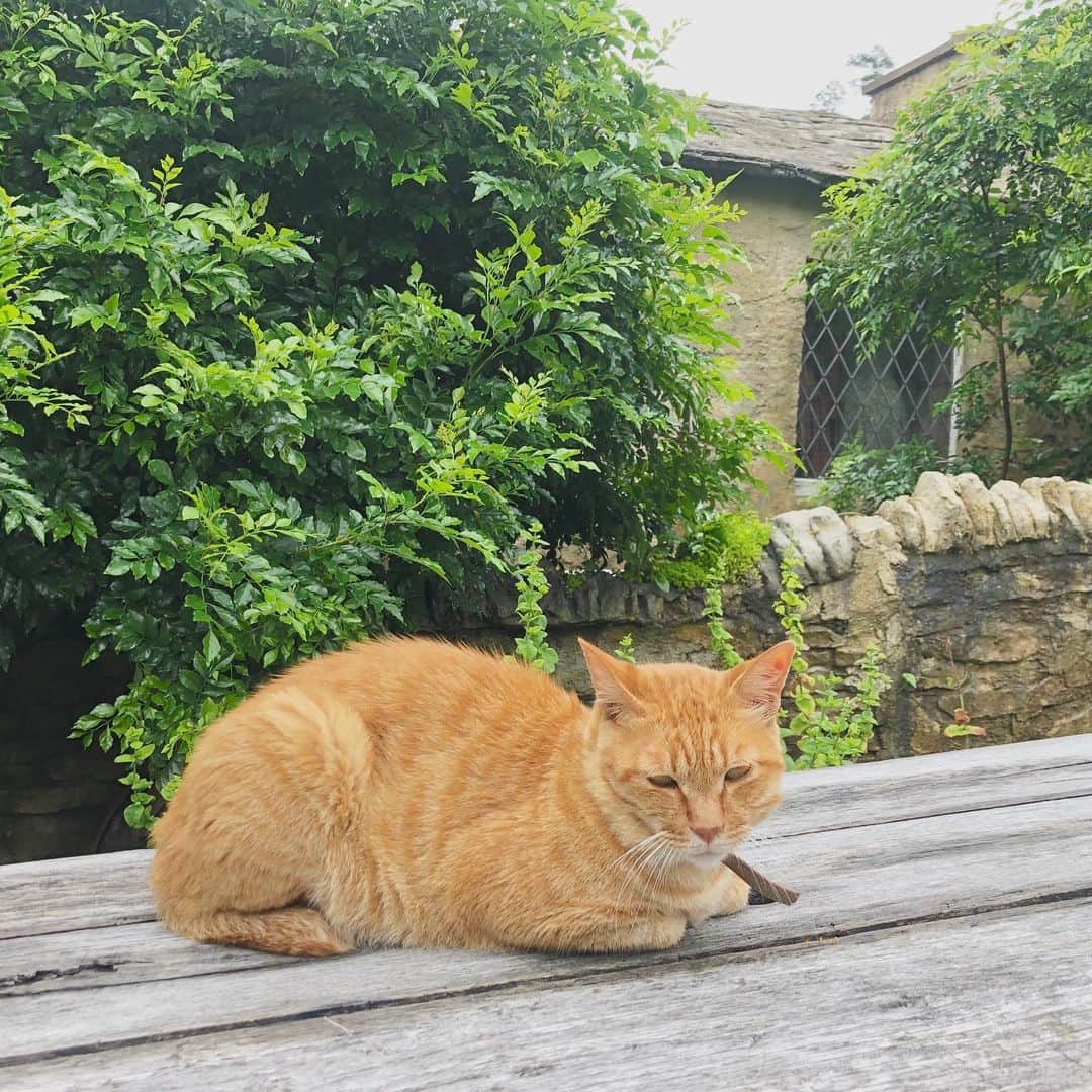 林穂乃花のグルメインスタ