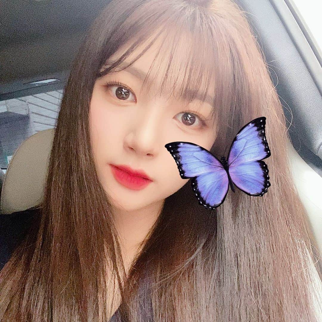 ヘインのインスタグラム：「오랜만에 셀..카🦋」