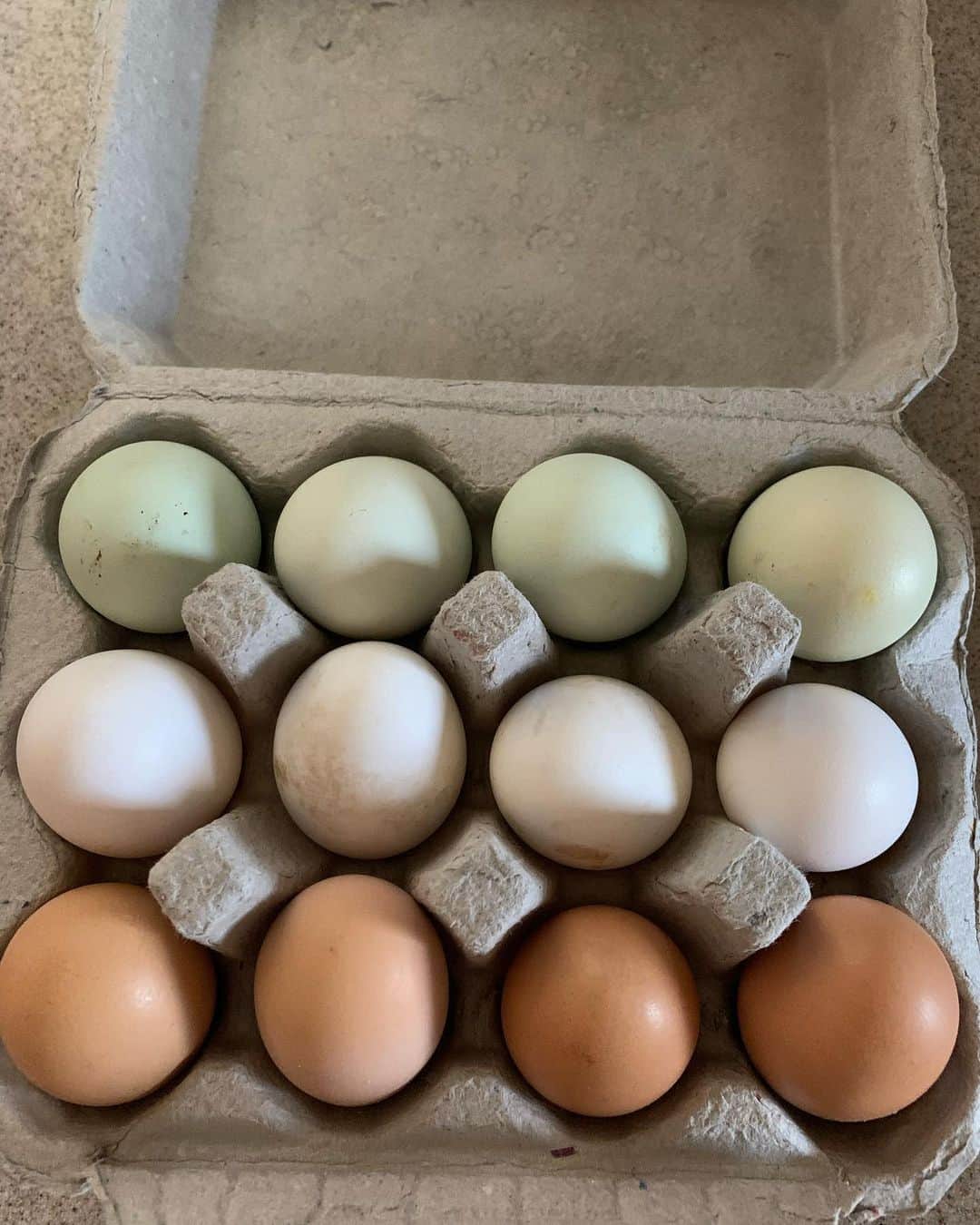 飯島寛子さんのインスタグラム写真 - (飯島寛子Instagram)「@kualoagrown のエメラルドグリーン卵！ ヘルシーな餌を食べた健康的な鶏さんね😊 #エメラルドグリーンの卵　#kualoaranch #kualoagrown」7月17日 17時23分 - hirokoiijima