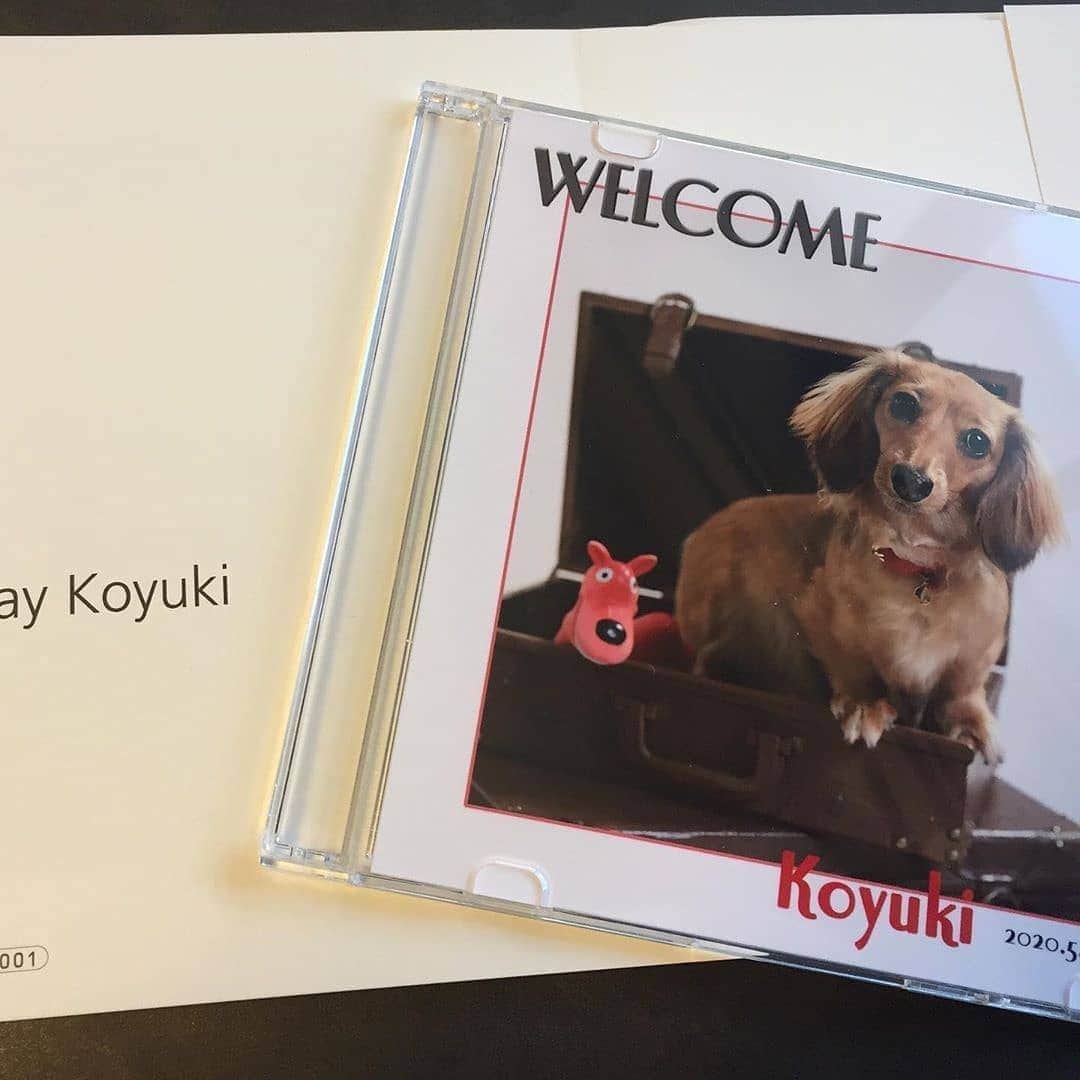 Photobackさんのインスタグラム写真 - (PhotobackInstagram)「本日ご紹介するのは、 koyukiji (@yukiji2005)さまの作品🐶 かわいい愛犬のお写真を おさめた一冊です🥰 . 『我が家のコユキの 1歳の誕生日の 記念に撮って つくってもらいました☺️ . これからの コユキの成長として、 毎年作って 残していきたいなぁ〜 と思っております✨ . 撮影中は5回も着替えて、 クラウンを被らされ、 最後は疲れ果て、 私の膝で眠っておりました。 何てかわいいんだろうと、 改めて思いました💕』 と、koyukiji (@yukiji2005)さま🕊 . 撮影中のエピソードが とってもかわいいですね❣️ すべての衣装を みてみたいです👗 . いつも一緒にいるけど、 なかなかわんちゃん、 ねこちゃんだけの アルバムって つくる機会がないですよね😢 誕生日ごとにつくっていくのは ナイスアイデアですね🎂 . koyukiji (@yukiji2005)さま、 今回は素敵な作品を ありがとうございました🧸 . #photoback #フォトバック #フォトアルバム #フォトブック #アルバム #photo #写真 #photoback作品紹介2020 #犬写真 #写真集 #いぬのきもち #いぬのいる暮らし #いぬすたぐらむ #愛犬 #ペット #わんこのいる生活 #わんちゃん」7月17日 17時27分 - photoback.jp