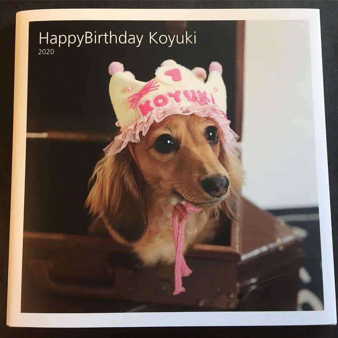 Photobackさんのインスタグラム写真 - (PhotobackInstagram)「本日ご紹介するのは、 koyukiji (@yukiji2005)さまの作品🐶 かわいい愛犬のお写真を おさめた一冊です🥰 . 『我が家のコユキの 1歳の誕生日の 記念に撮って つくってもらいました☺️ . これからの コユキの成長として、 毎年作って 残していきたいなぁ〜 と思っております✨ . 撮影中は5回も着替えて、 クラウンを被らされ、 最後は疲れ果て、 私の膝で眠っておりました。 何てかわいいんだろうと、 改めて思いました💕』 と、koyukiji (@yukiji2005)さま🕊 . 撮影中のエピソードが とってもかわいいですね❣️ すべての衣装を みてみたいです👗 . いつも一緒にいるけど、 なかなかわんちゃん、 ねこちゃんだけの アルバムって つくる機会がないですよね😢 誕生日ごとにつくっていくのは ナイスアイデアですね🎂 . koyukiji (@yukiji2005)さま、 今回は素敵な作品を ありがとうございました🧸 . #photoback #フォトバック #フォトアルバム #フォトブック #アルバム #photo #写真 #photoback作品紹介2020 #犬写真 #写真集 #いぬのきもち #いぬのいる暮らし #いぬすたぐらむ #愛犬 #ペット #わんこのいる生活 #わんちゃん」7月17日 17時27分 - photoback.jp
