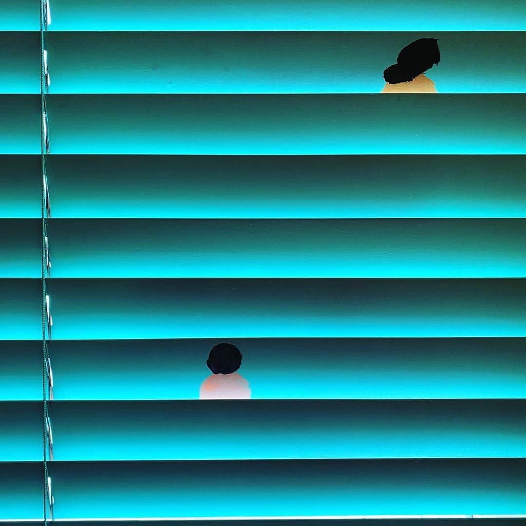 Jean Jullienさんのインスタグラム写真 - (Jean JullienInstagram)「I made blinds」7月17日 18時08分 - jean_jullien