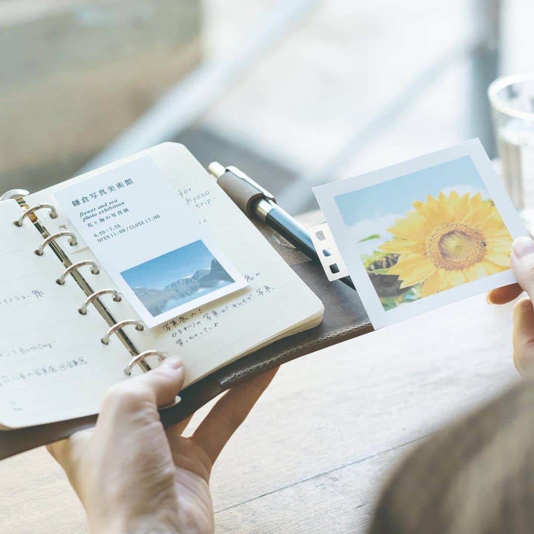 のインスタグラム：「📖ノートになじむシンプルな『リングリーフ』登場✨ . カードや書類をリングノートに"つなぐ" 『リングリーフ』から、 新色の〈トウメイ〉〈モモイロ〉が 発売されます❗️  . 新タイプの〈トウメイ〉は、 マット仕上げの半透明フィルムを使用し、 "目立ちにくさ"を追求👀 . セットするものやノートの誌面に すっとなじみ、シンプルに使えます☺️ . 思い出のチケットやお気に入りのカード、 写真などの見栄えを変えないのも 嬉しいポイントです☘️ . 発売は7月29日(水)！ みなさまお楽しみに✨ .  #new #新商品 #RINGLEAF #リングリーフ  #カンミ堂 #kanmido #ライフログ #マイノート #アルバム #リングノート #シンプル #手軽 #stationery #bungu #文具 #文房具 #文房具好き #stationeryaddict」