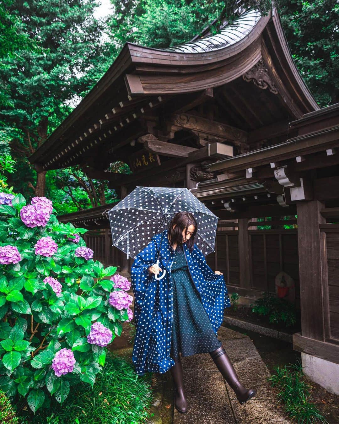 kenta_soyoungさんのインスタグラム写真 - (kenta_soyoungInstagram)「Hydrangea Temple. . . . . 雨の日はカッパに限る。 . . .  model: @nanairo_girl_」7月17日 20時13分 - kenta_soyoung