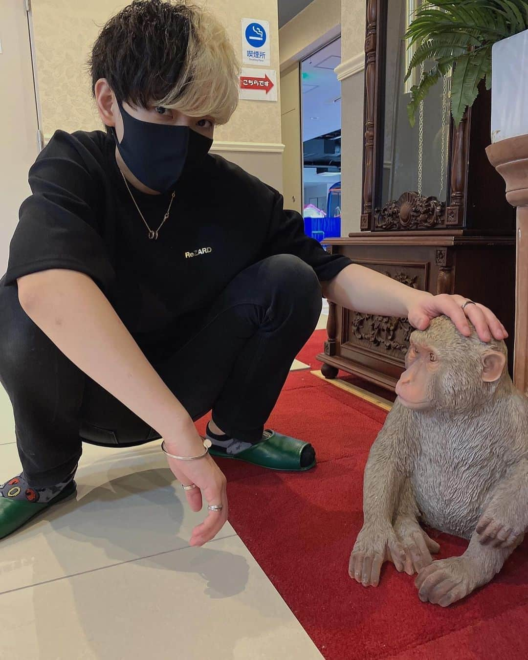 Hikaru（ヒカル）さんのインスタグラム写真 - (Hikaru（ヒカル）Instagram)「猿🐒見つけた」7月17日 20時25分 - tadanokarisuma