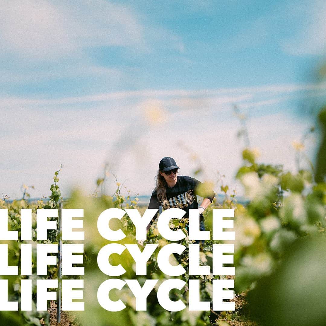 のインスタグラム：「On the occasion of the release of the Group’s Environmental Responsibility Report (link in bio), LVMH and its Maisons reaffirm their commitment to spearhead environmental excellence.  To foster sustainability, the product life cycle is approached rom three angles: items are ecodesigned and manufactured with respect for precious natural resources; each component is carefully selected, giving precedence to natural materials; and products are produced using ancestral savoir-faire, supplemented with specially developed services to ensure they last.  In the Wines & Spirits industry, our Maisons have adapted their wine-growing techniques and prioritized the need to limit their water consumption. Every step of the way, from the vine to the cellars and including the marketing and shipping, the aim is to preserve water with controlled and disciplined irrigation.  Regarding the carbon fooprint, our Maisons strive to reduce their impact by limiting the use of chemical substances.   In addition, the Group is keen to harness ecodesign by developing innovative eco-responsible packaging.  #LVMH #Sustainability」