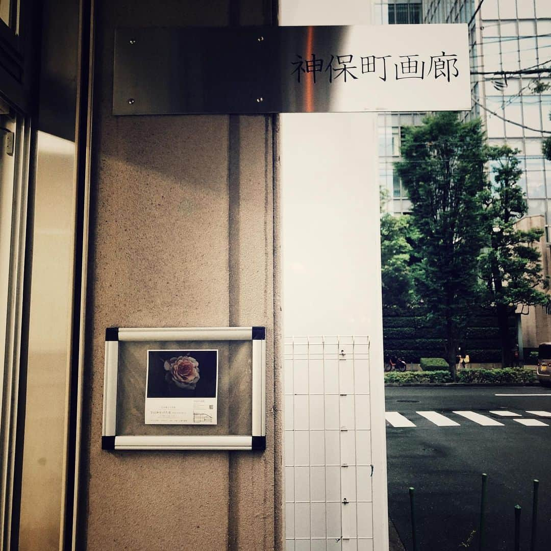 七菜乃さんのインスタグラム写真 - (七菜乃Instagram)「今日からはじまった、 神保町画廊 @jimbochogallery  での 笠井爾示さん @kasai_chikashi_  の展示行ってきたよ〜☺️  シンプルで見やすい👁 ゆっくりじっくり体感してきました❣️  #神保町画廊 #今日みかけた花 #笠井爾示」7月17日 20時35分 - nananano.nano