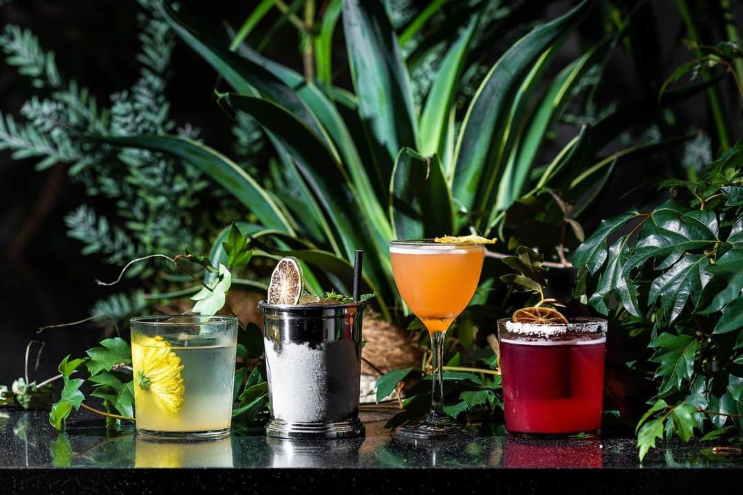 TRUNK(HOTEL)さんのインスタグラム写真 - (TRUNK(HOTEL)Instagram)「Introducing our newly revamped TRUNK(LOUNGE) original summer seasonal cocktails. Try out our Night in The Amazon; a tropical mix of pineapple infused pisco, grassy agricole rhum and bittersweet Aperol with fresh lemon and pineapple juice. Conversely, for those working on their summer bodies, try our original detox mocktail Eau de Vie, a simple combination of coconut water with elderflower and cardamom syrup. ﻿ #trunkhotel #ブティックホテル #boutiquehotel⁣﻿ #trunklounge #cocktails  #トランクホテル #ラウンジ #カクテル﻿ #shibuya #tokyo」7月17日 20時36分 - trunkhotel_catstreet