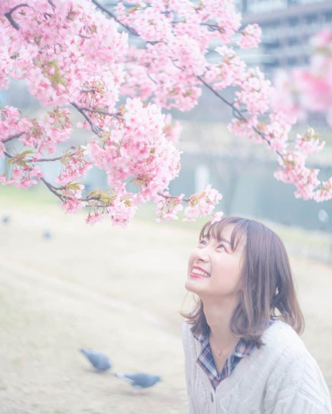 尾林美月のインスタグラム：「.﻿ さくらさんぽ👟🌸﻿ ﻿ ﻿ 先日、本当に久しぶりに撮影に行きました！﻿ 懐かしくなったので、まだ投稿してなかった写真を今のうちに投稿👆﻿ ﻿ 今日は人生初の全頭ブリーチをして、髪の毛がピンク色になりました！﻿ それでちょっと桜みたいって思ったので、この写真かな？笑🌸﻿ ﻿ また今度、新しい撮影の写真も投稿します😉﻿ ﻿ ﻿ #桜 #河津桜 #桜ポートレート﻿」
