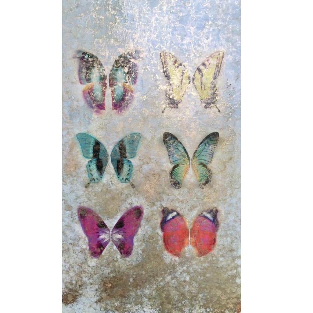 メラニー・サイクスさんのインスタグラム写真 - (メラニー・サイクスInstagram)「Just had to share this 🦋 if you love butterflies and care about the Enviroment , Help @savebutterflies by taking part in the Big #ButterflyCount from 17th July - 9th August.  Simply visit www.bigbutterflycount.org or download the Big Butterfly Count app  Thank you to @adambricusse for letting me use an image of one of his  glorious butterfly paintings 🙏🏻💫」7月17日 21時31分 - msmelaniesykes
