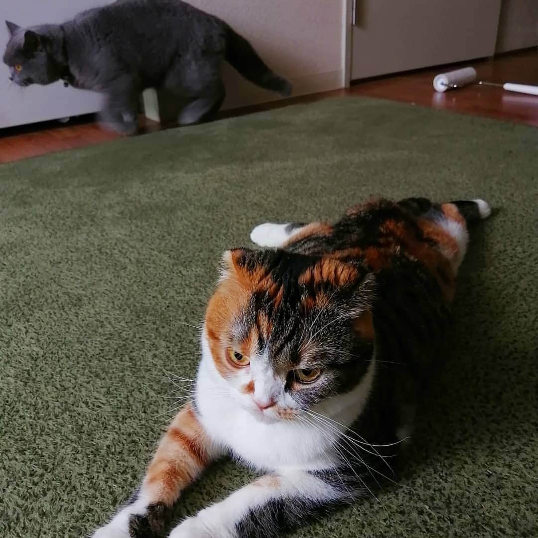 アイミのインスタグラム