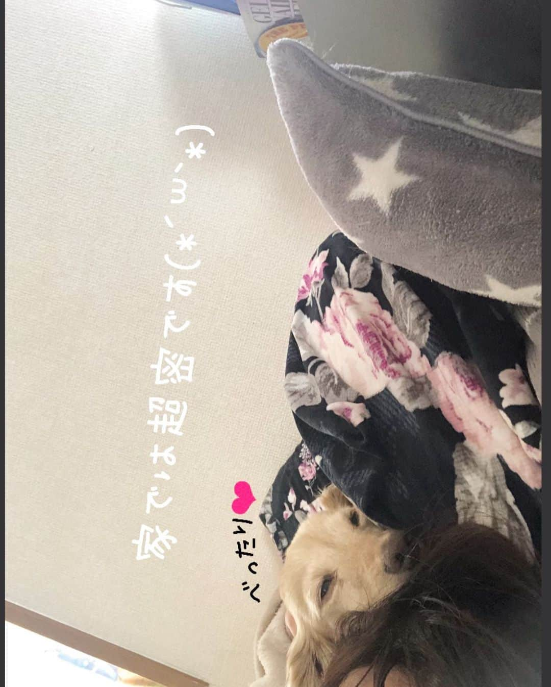 チズさんのインスタグラム写真 - (チズInstagram)「ほんとは ベタベタしたいくせにぃ〜🐶💕 #ソーシャルディスタンス散歩 🐾 #感染予防対策  #止まれで止まる犬  #動くマロン #朝んぽ#movie 🎥  #Mダックス#ダックス#ミニチュアダックス #親父犬#シニア犬#ミニチュアダックスフンド #ミニチュアダックスクリーム#短足部 #短足犬#カニンヘンダックス #ダックス14歳#カニンヘンダックスフンド#犬は家族#犬のいる生活#シニアライフ#インスタでわんこみるのが日課 ♡♡」7月17日 22時35分 - sqi.chizu