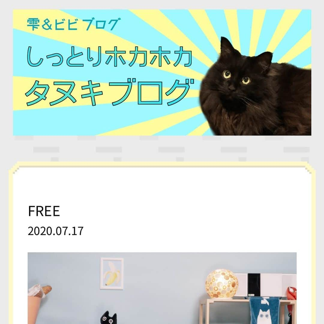 雫さんのインスタグラム写真 - (雫Instagram)「【ブログ更新しました】 FREEという新曲のコンセプト、歌、アレンジ、MVについて超しっかり書いてます。 見てみて〜  #私は自由 #半泣き黒猫団 で感想待ってる！」7月17日 22時52分 - plkshizuku