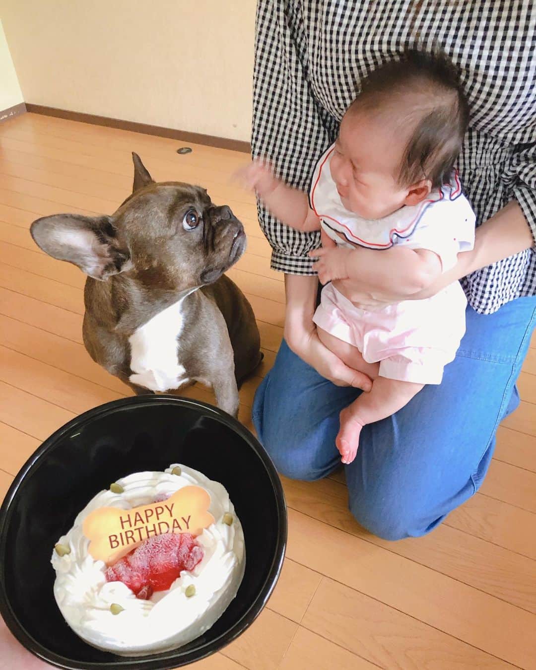 鈴木莉紗のインスタグラム