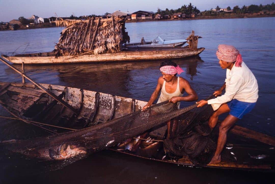 Michael Yamashitaさんのインスタグラム写真 - (Michael YamashitaInstagram)「More than one way to catch a fish on the Mekong. The River supports the world's largest inland fishery, providing a food source for over 60 million people in the catchment area. The problem is will there be any fish to catch in the coming years? Fish stocks have fallen sharply due to the building of dams, record low water levels as well as overfishing.Many fishermen have lost their livelihood, giving up their age old traditional lifestyles to find other means of making a living. #Mekong crisis #mekongriver #cambodia #fishing」7月18日 10時10分 - yamashitaphoto