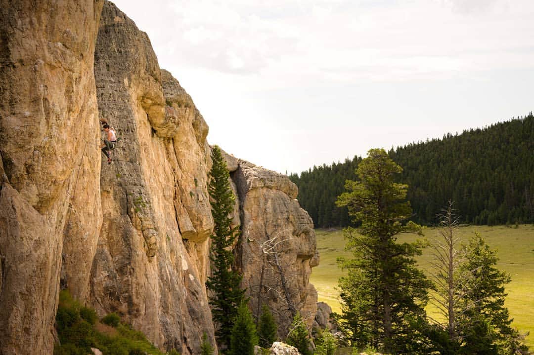 ペイジー・クラッセンのインスタグラム：「Takin' whips! 🏇 Gold Digger, 5.14a, a @mikeywill78 specialty.  Photo 📸 by @arjandekock  @eddiebauer @lasportivana @maximropes @physivantage」
