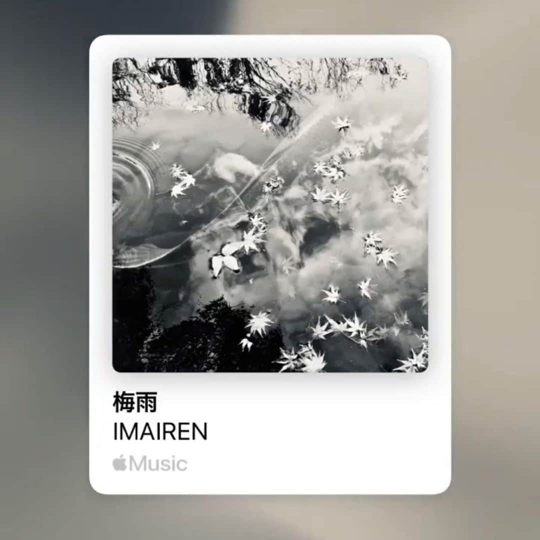 今井れんのインスタグラム