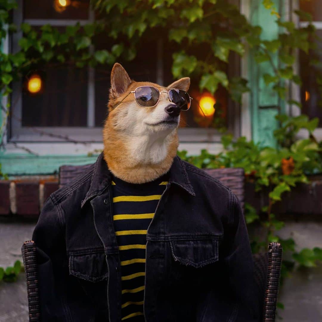 Menswear Dogのインスタグラム：「Ayo, Friday Vibe Checkkk 😎✨  ✔️ Start your morning slowly, reflecting on things you are grateful for  ✔️ Drink 2 glasses of water  ✔️ Make time for a brisk walk with yourself or with doggos  ✔️ Check up on family & friends  ✔️ Be kind to yourself so you can project positivity to those around you  Here's to a stunning weekend ahead☀️🙏」