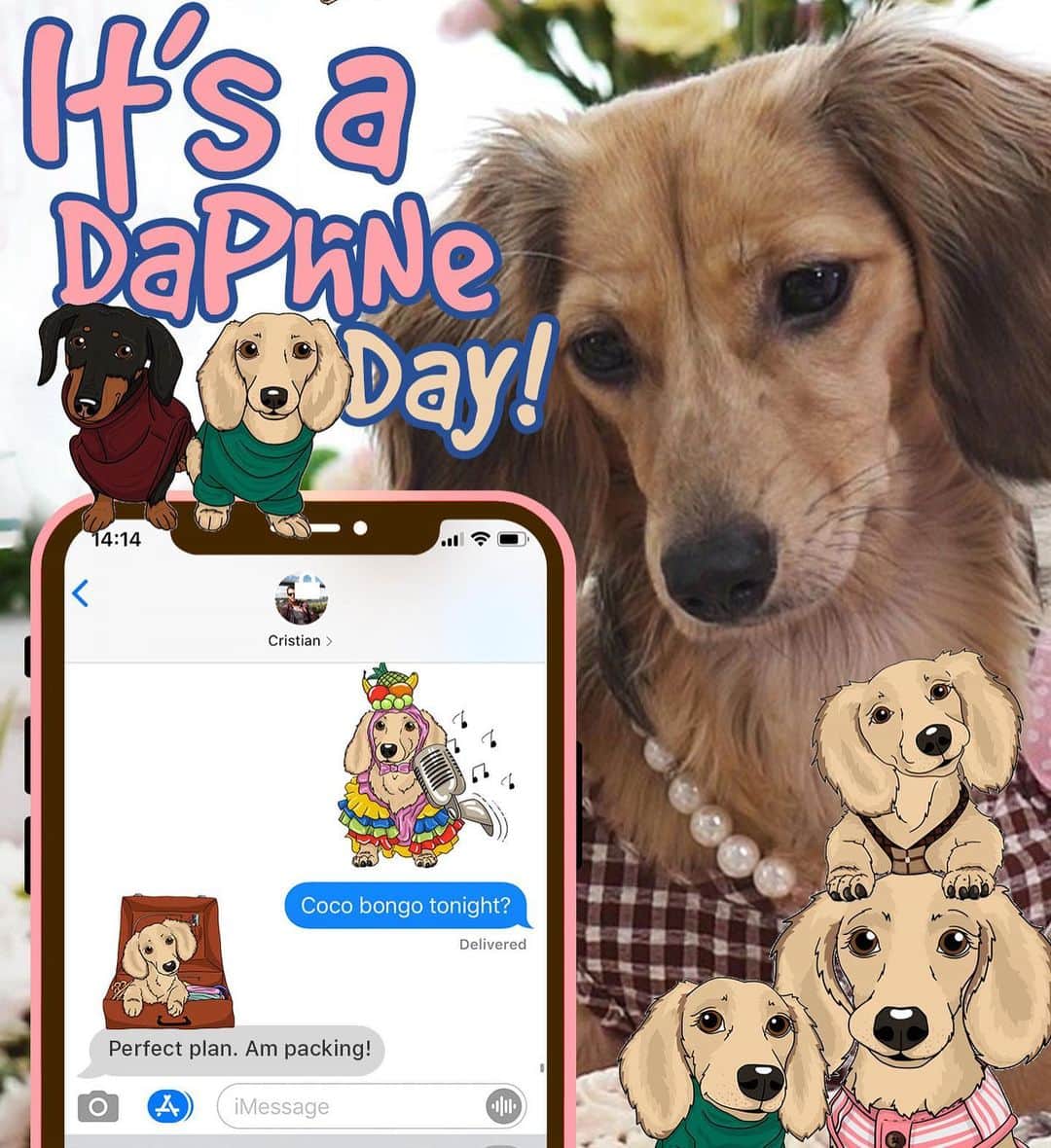 Crusoe the Celebrity Dachshundのインスタグラム：「“Long overdue but finally here, the Daphne emoji pack!! Now available in my CrusoeMoji app! If you don’t already have it, get the app via link in profile!” ~ Crusoe」