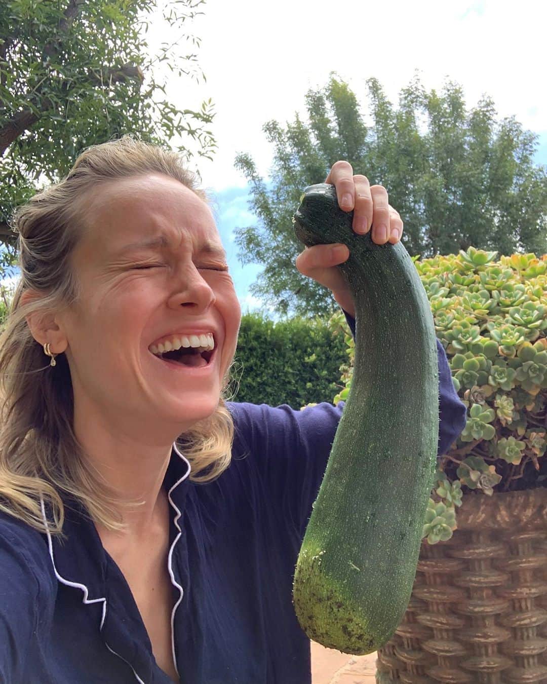 ブリー・ラーソンのインスタグラム：「The garden update that nobody asked for. 🥰🥰」