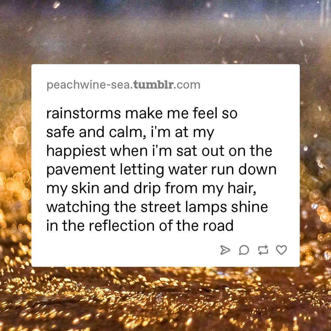 Tumblrさんのインスタグラム写真 - (TumblrInstagram)「we’re secretly part snail.⁠ #rainstorms #serene #mood」7月18日 3時45分 - tumblr