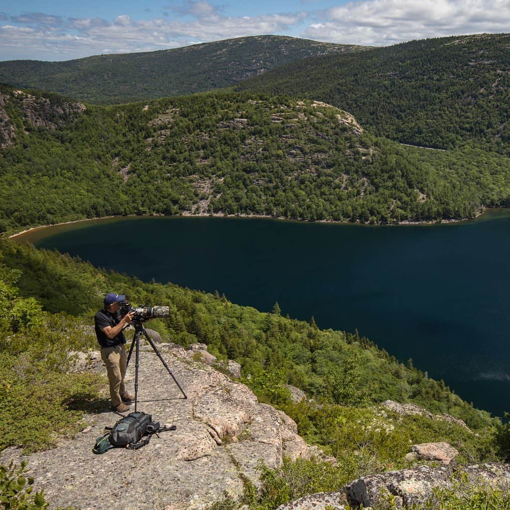 Tim Lamanさんのインスタグラム写真 - (Tim LamanInstagram)「Spent an awesome day up on the cliffs above Jordon Pond filming juvenile peregrine falcons for the Cornell Lab of Ornithology and Acadia National Park a couple days ago. Amazing to see these masters of the air learning their craft as they rocketed past the cliffs where they recently fledged.  Managed to get a few shots in focus once in a while.  These are frame grabs from @RedDigitalCinema, and BTS shot by @RussLaman.  see my stories for more BTS.  #shotonRED #FramedonGitzo @Gitzoinspires #AcadiaNationalPark #Maine #CornellLabofOrnithology」7月18日 10時46分 - timlaman