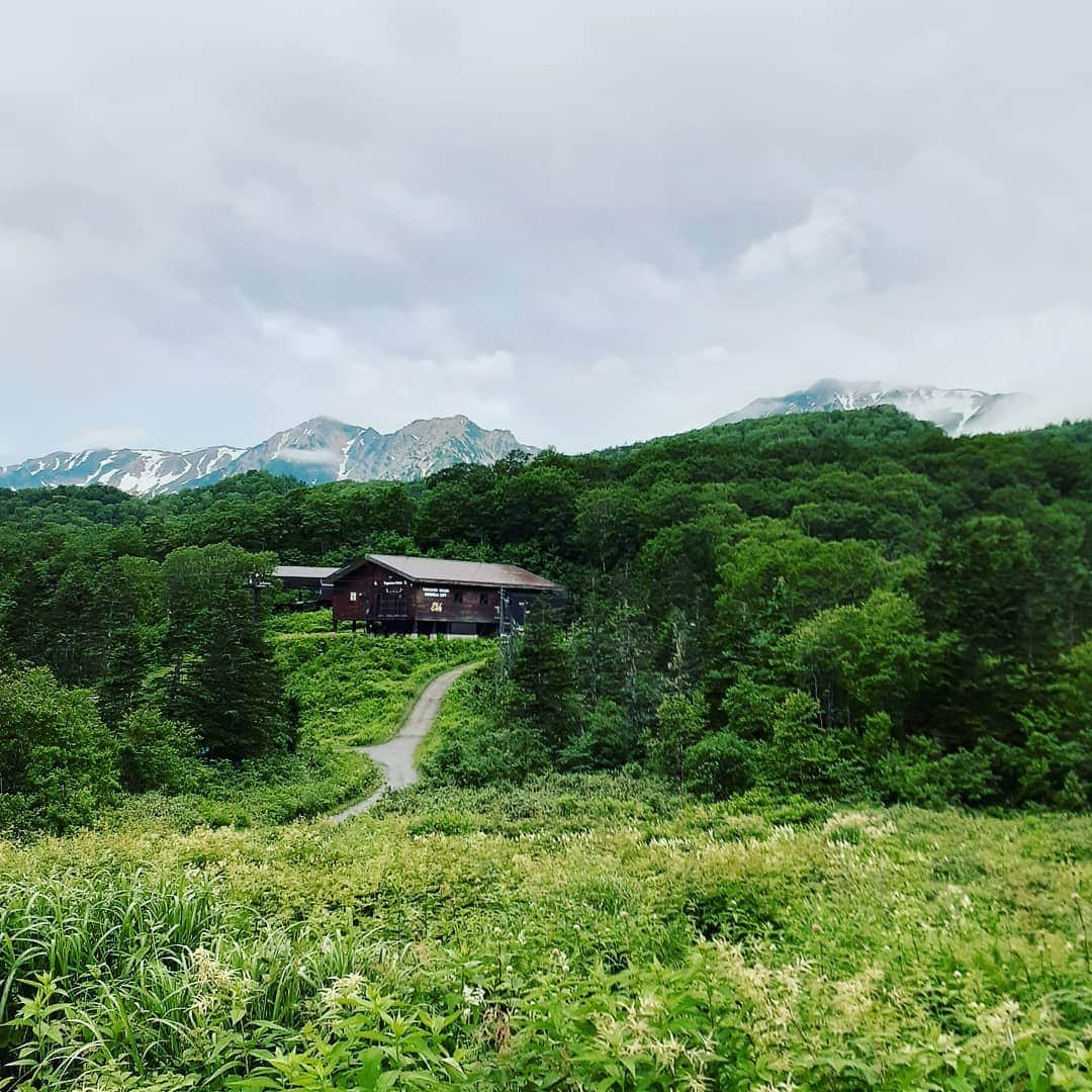 栂池高原スキー場さんのインスタグラム写真 - (栂池高原スキー場Instagram)「おはようございます。 只今の気温　16度　　天候は曇り　　風はありません。  #栂池高原#白馬三山#栂池ゴンドラリフト#やま」7月18日 6時02分 - tsugaike_kogen