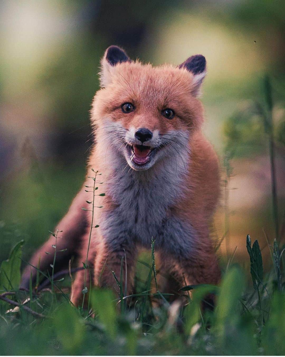 FOLKのインスタグラム：「Thought y’all might like this one by @kpunkka」