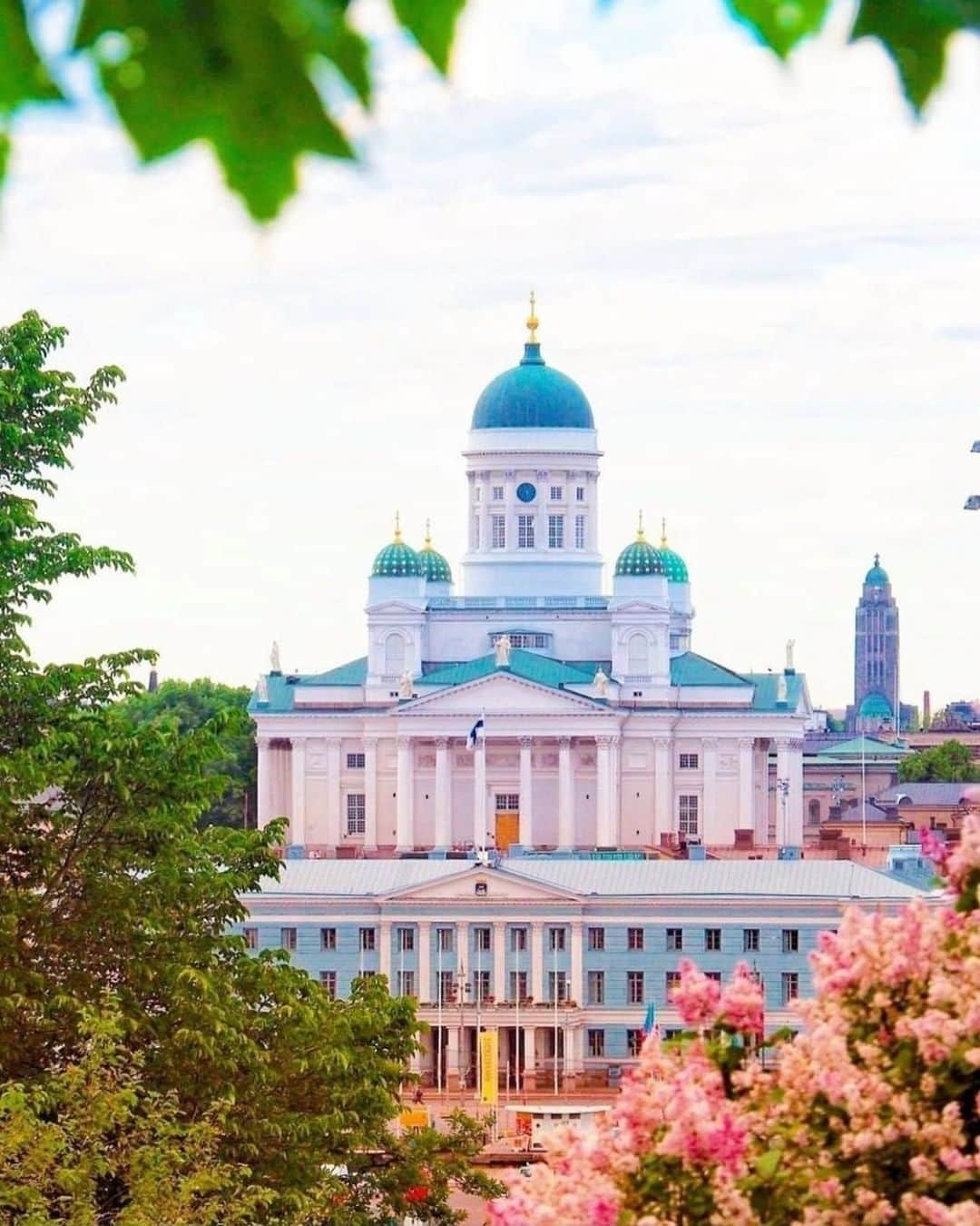 フィンランド政府観光局さんのインスタグラム写真 - (フィンランド政府観光局Instagram)「木々やお花がフォトフレームのようにヘルシンキ大聖堂を囲んでいるのが素敵ですね～。大聖堂はヘルシンキの街のいろんな場所から見えます。😊 ． @prohelsinki さんの写真。Kiitos！  #visitfinland #ourfinland #visitfinlandjp # #finland #北欧旅行 #travelgram #フィンランド #フィンランド政府観光局 #北欧 #travel #instatravel #travel #travelgram #travelling #traveler #おうちで北欧を楽しもう #おうちフィンランド #旅を夢見て #北欧に行きたい気持ちを満たそう #ヘルシンキ大聖堂 #ヘルシンキ #myhelsinki」7月18日 7時00分 - visitfinlandjapan