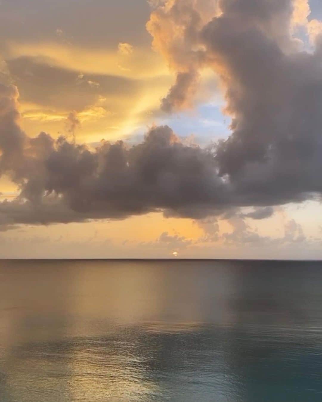 Elizabeth Chambers Hammerのインスタグラム：「Let the light in ✨」