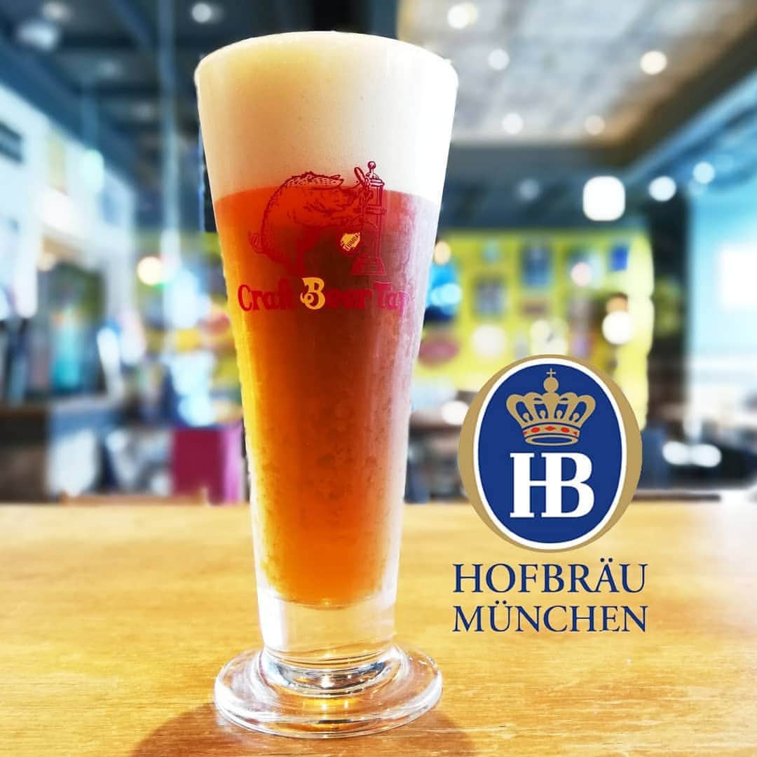 シュタインハウス新宿のグルメインスタ